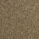 Quark Carpet Collection Brown