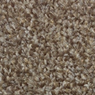 Muse collection CP Mill Brown Colour