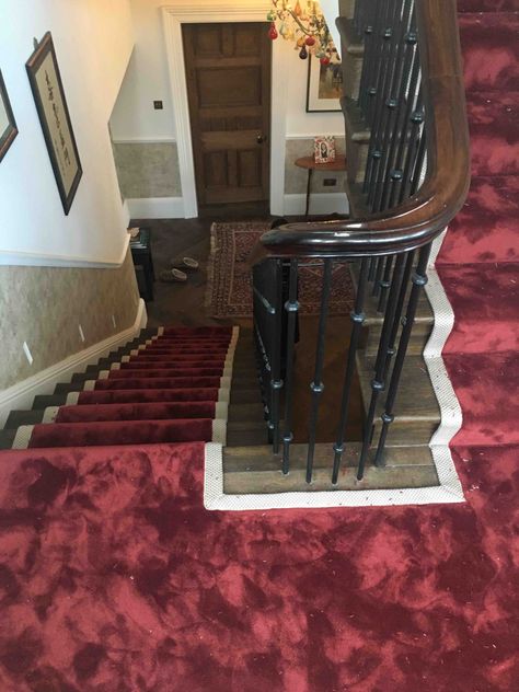 Luxury red velvet carpet runner with gold border